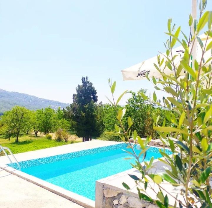 Apartmani Dumezic Бар Экстерьер фото